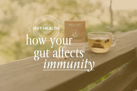 How Your Gut Affects Immunity