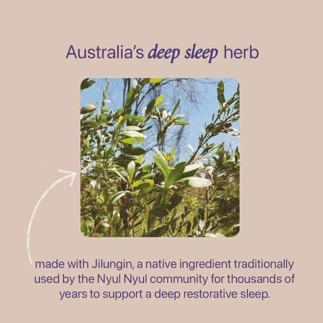 Native Relaxation Tea – Australian Tea and Wellness – Roogenic