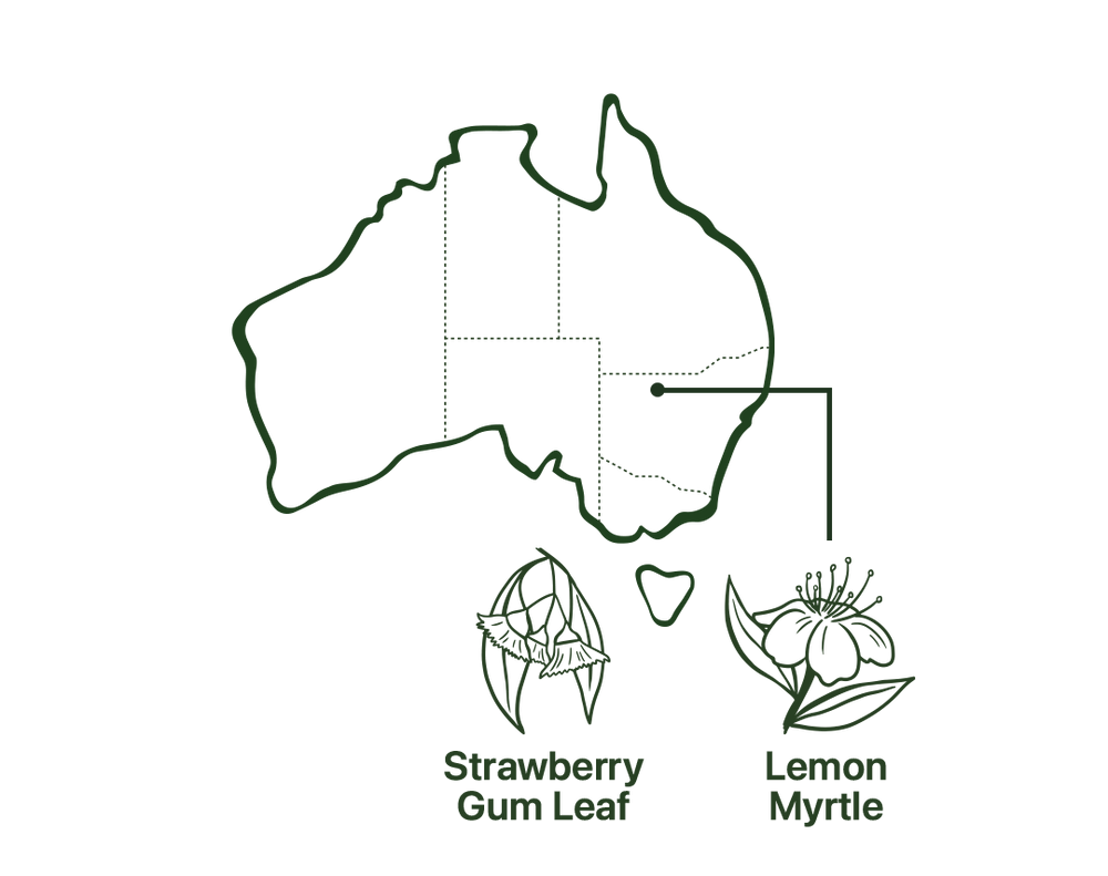 Map of Cycle Tea Native Australian Ingredients