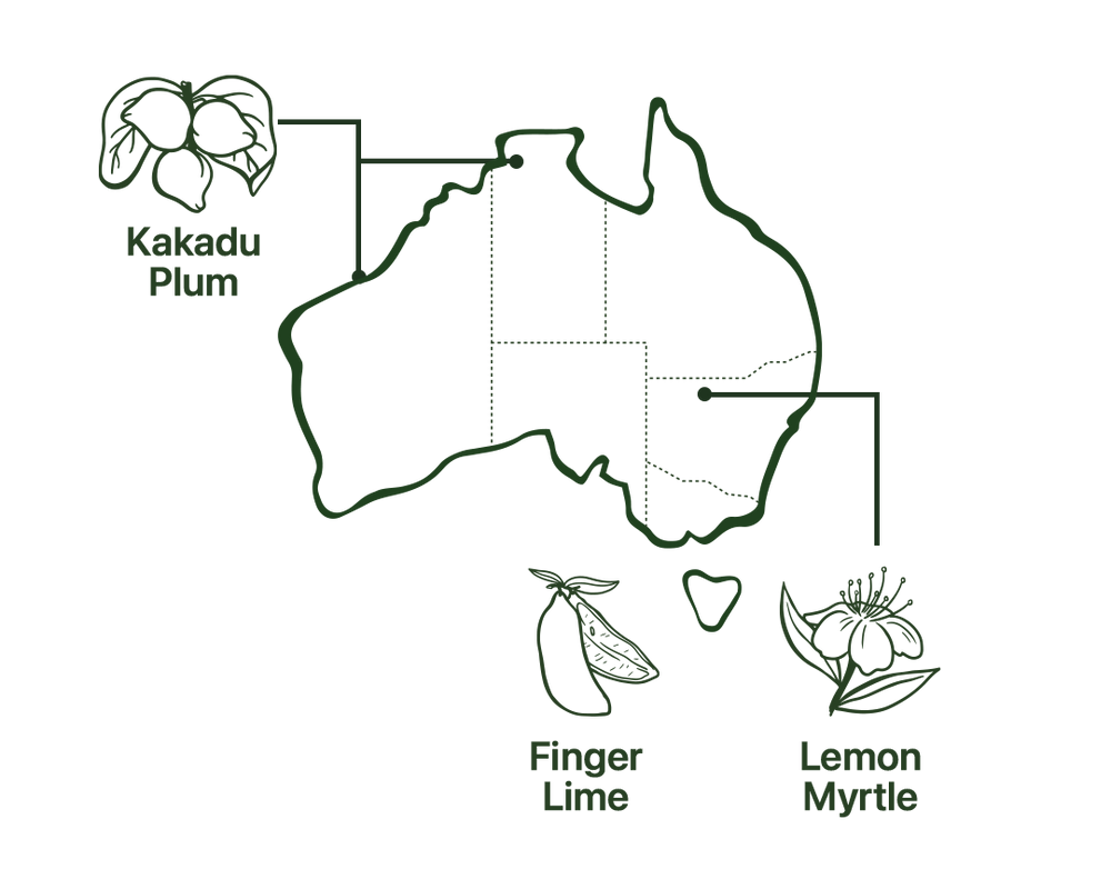 Map of Gut Restore Powder Native Australian Ingredients