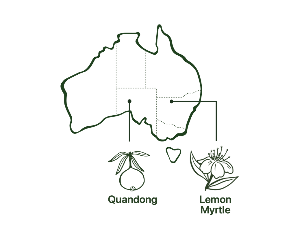 Map of Immunity Tea Native Australian Ingredients