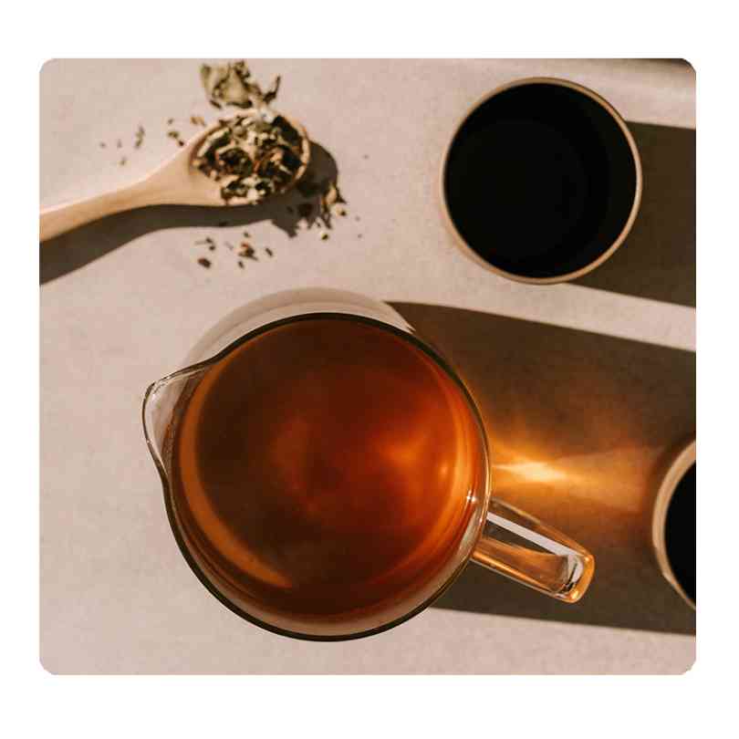 Immunity_Tea_and_Brew.jpg - Roogenic