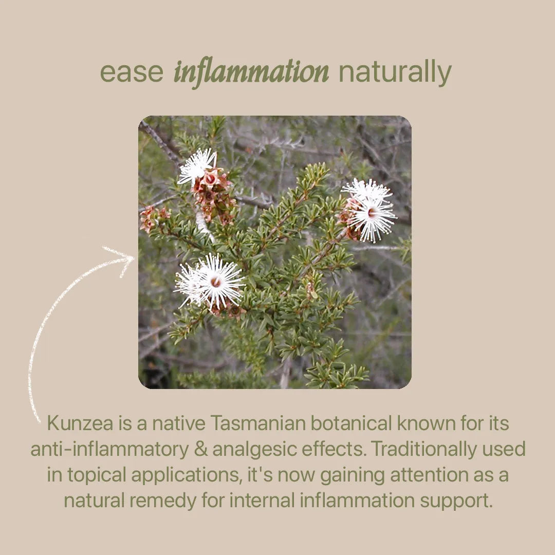 Inflammation Relief Duo