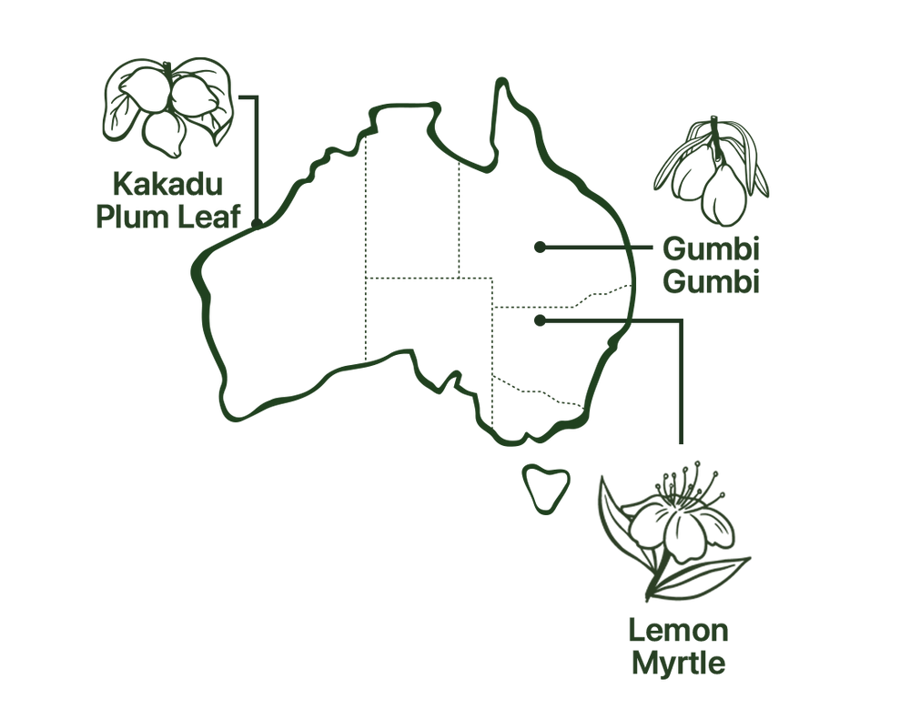 Map of Menopause Dat Tea Native Australian Ingredients