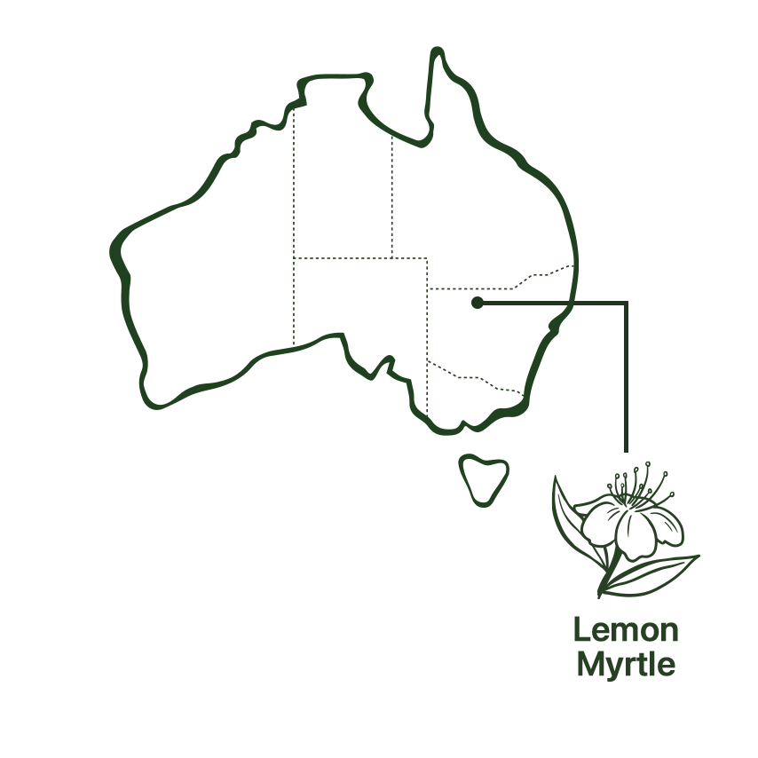 Map of where Roogenic Lemon Myrtle comes from