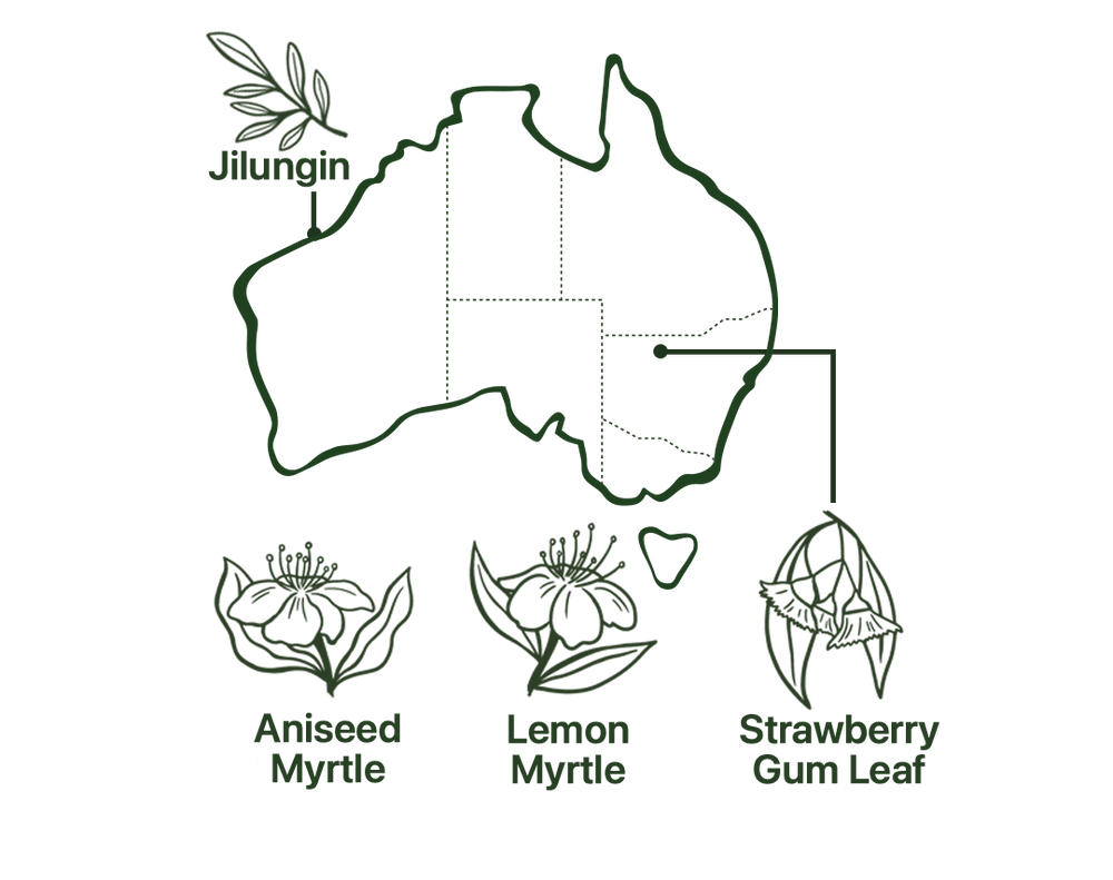 Map of Roogenic Sleep tea Ingredients