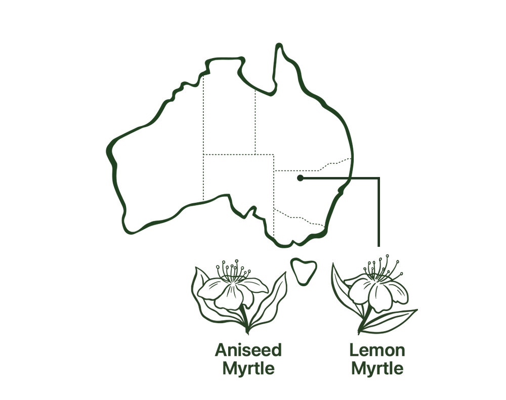 Map of Pregnancy Tea Native Australian Ingredients
