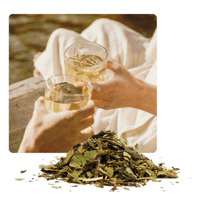 Revive Loose Leaf Tea Pile