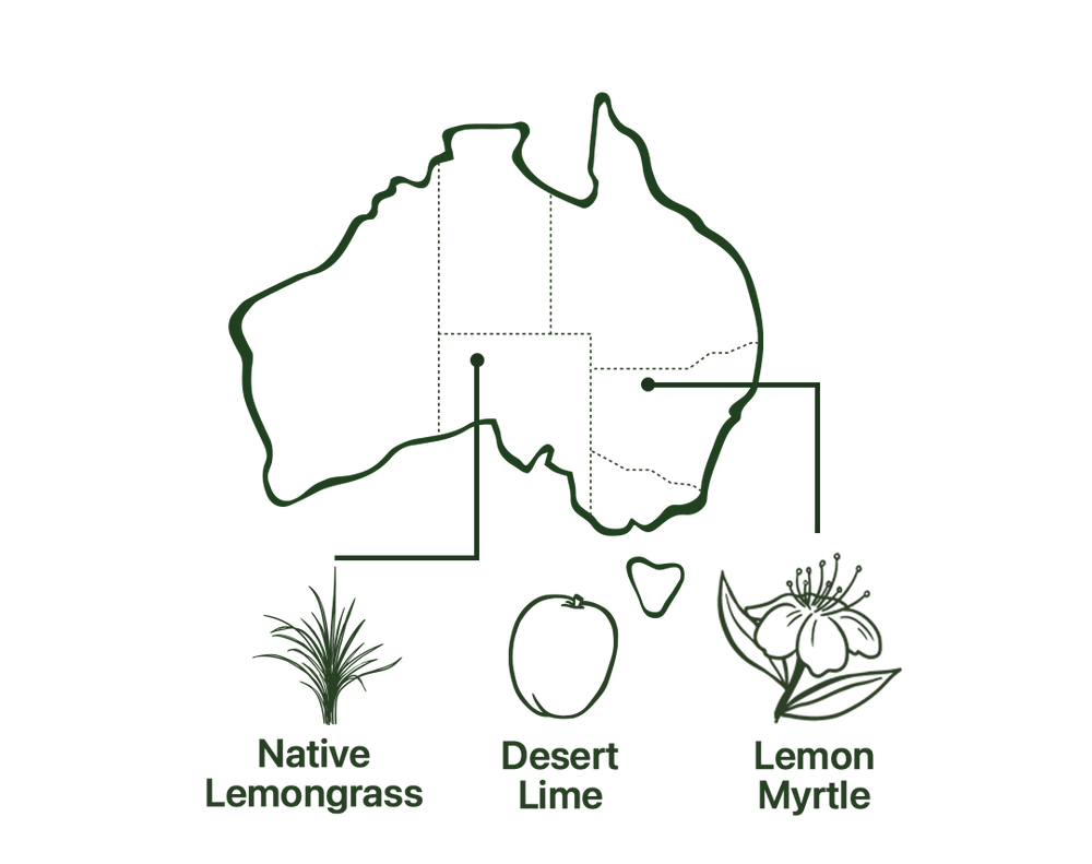 Map of Revive Tea Native Australian Ingredients
