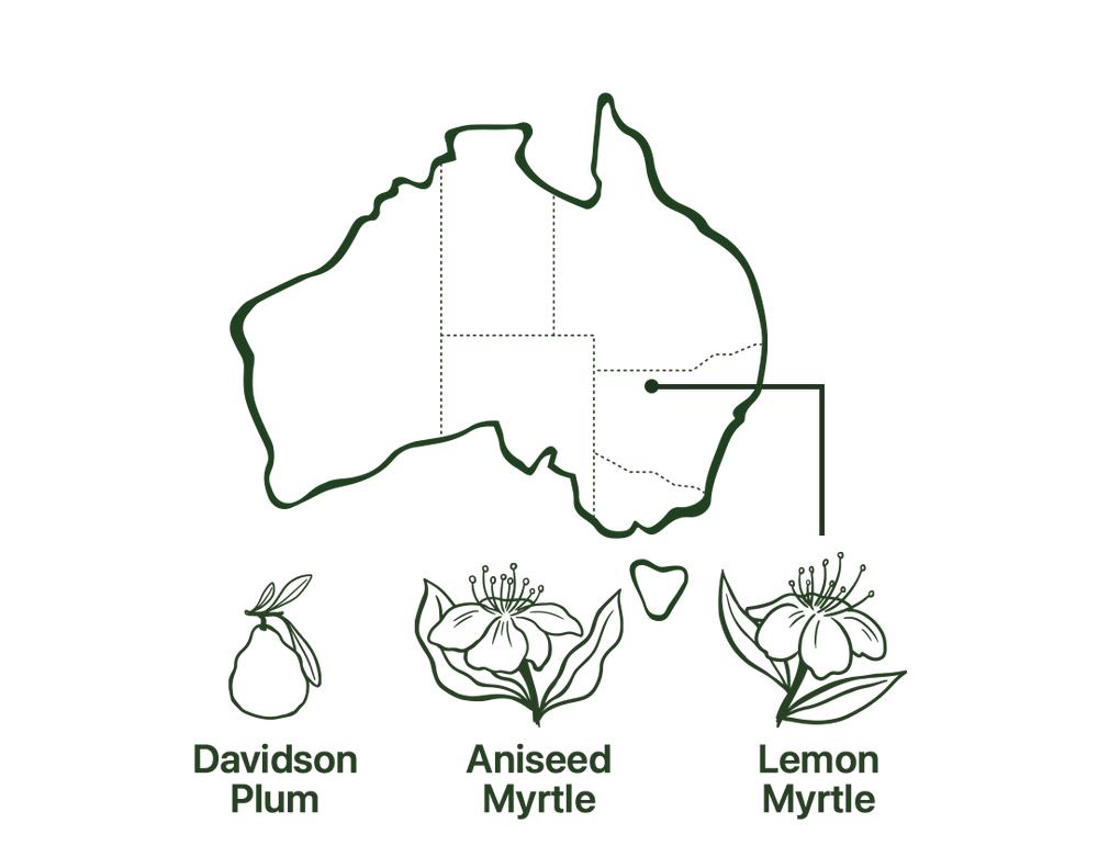 Map of Vitality Tea Native Australian Ingredients
