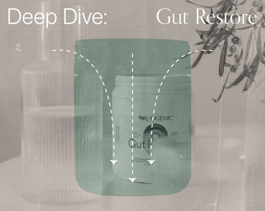 Deep Dive: Gut Restore Powder - Roogenic