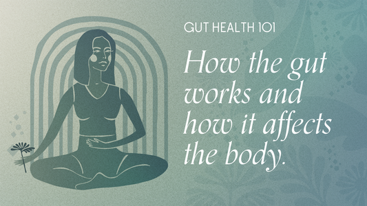 How The Gut Works and How It Affects The Body