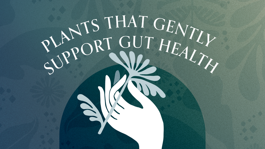 Plants That Gently Support Gut Health