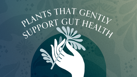 Plants That Gently Support Gut Health