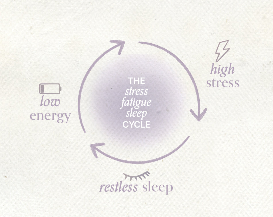SLEEP STRESS FATIGUE CYCLE