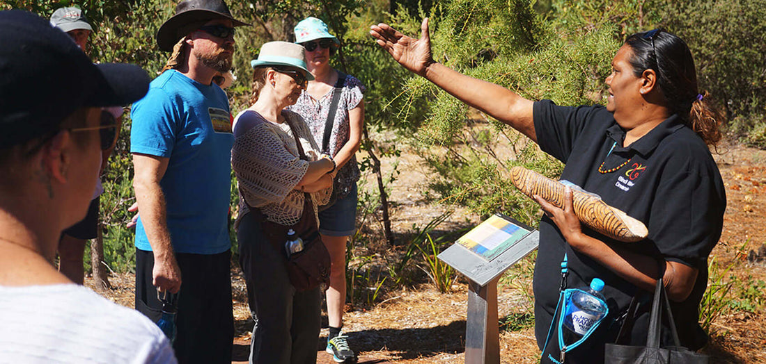 A Bush Food Journey with Bindi Bindi Dreaming - Roogenic