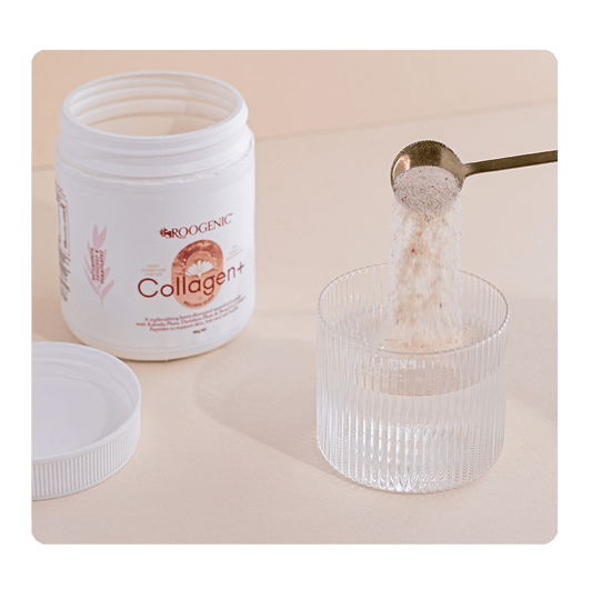 Deep Dive: Collagen+ Powder