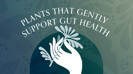 Plants That Gently Support Gut Health - Roogenic