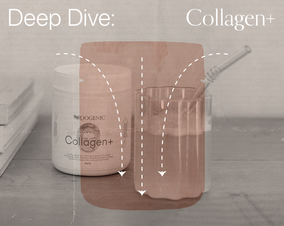 Deep Dive: Collagen+ Powder