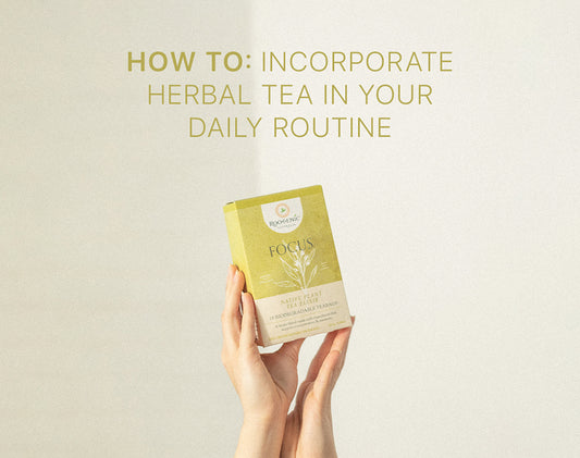 How to Incorporate Herbal Tea in Your Daily Routine