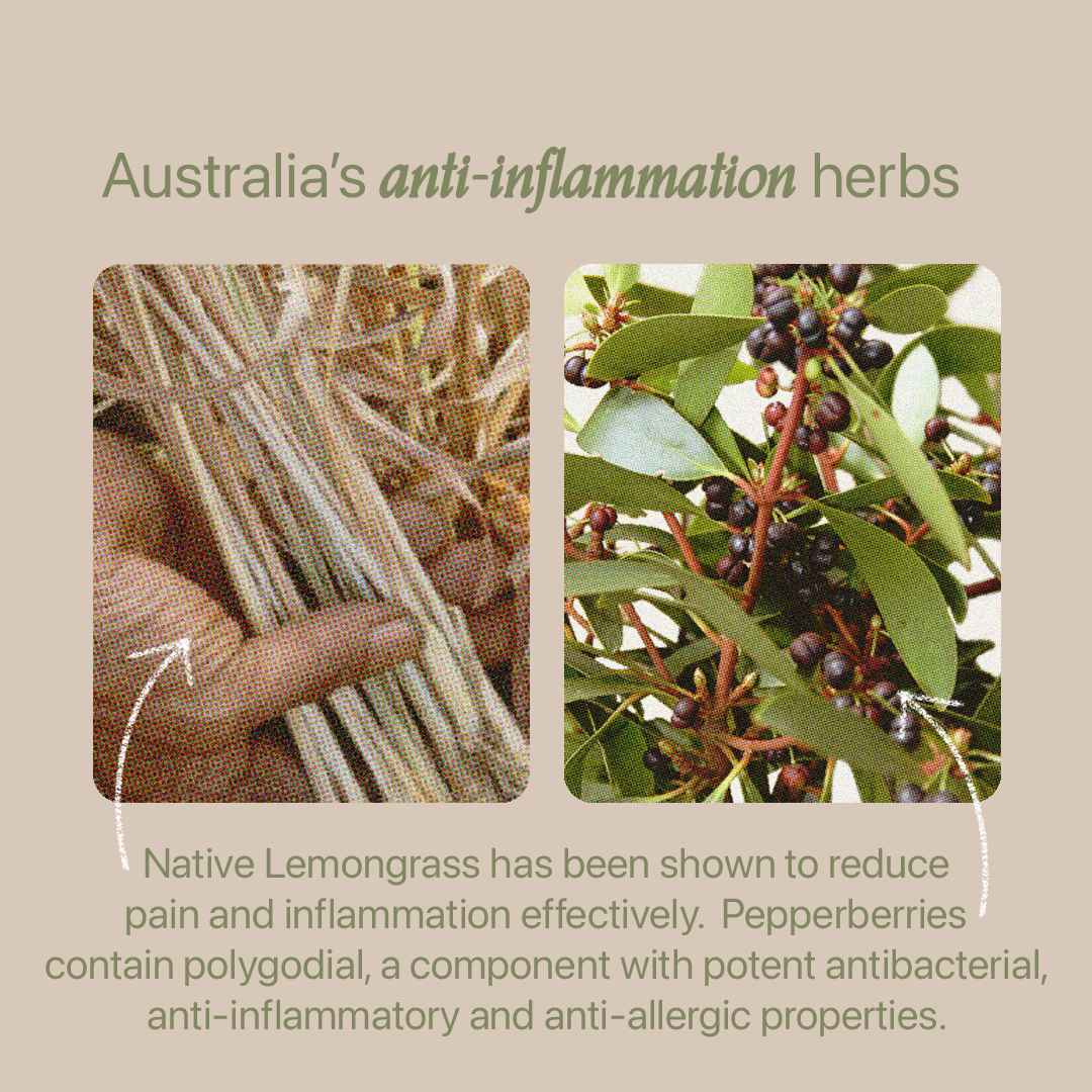 Native Anti-Inflammitea Hero Ingredients