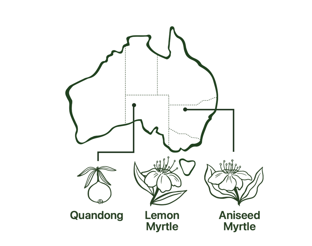 Map of Breastfeeding Tea Native Australian Ingredients