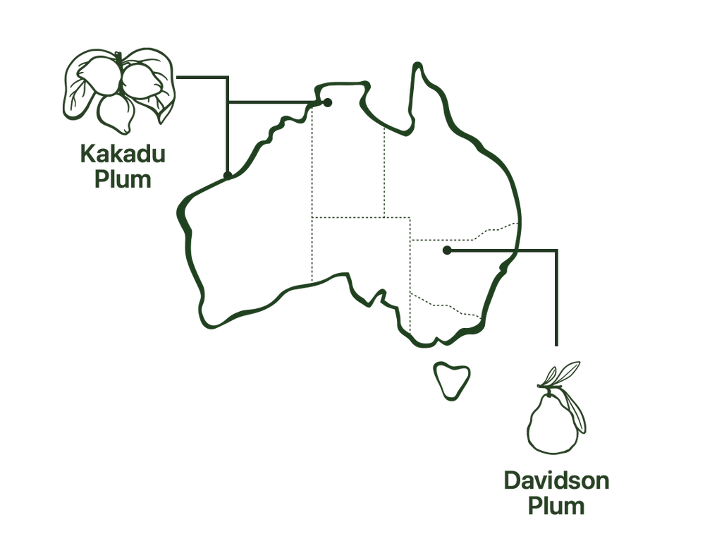 Map of Collagen Powder Native Australian Ingredients