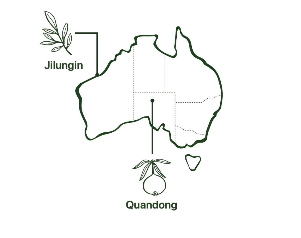 Map of Deep Sleep Powder Native Australian Ingredients