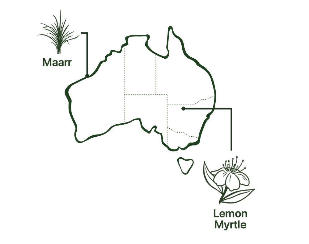 Map of Focus Tea Native Australian Ingredients