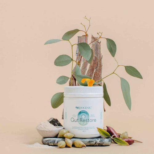 Gut Restore Powder – Australian Tea and Wellness – Roogenic