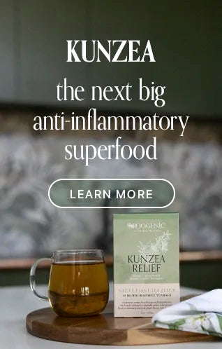 Kunzea – The Next Big Anti-Inflammatory Superfood
