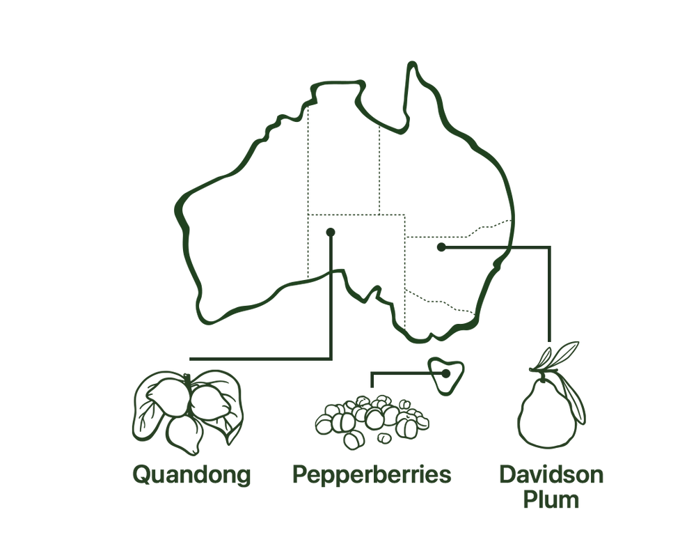 Map of Inflammation Powder Native Australian Ingredients
