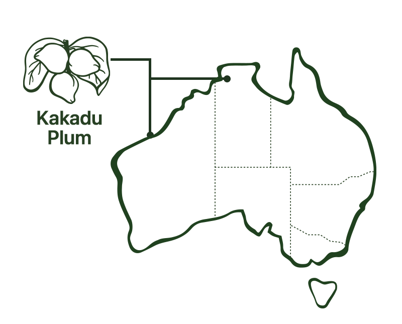 Map of where Roogenic kakadu Plum is sourced from