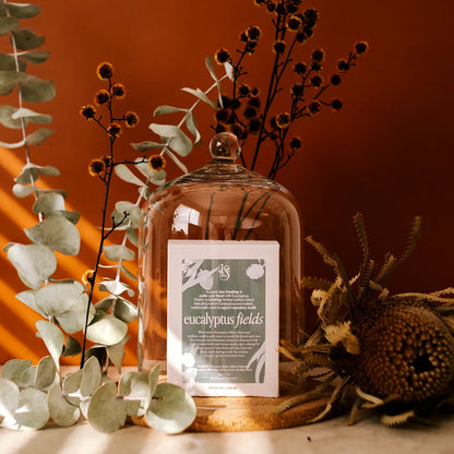 Eucalyptus Fields | Limited Release August Blend