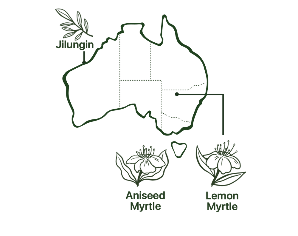 Map of Menopause Night Tea Native Australian Ingredients