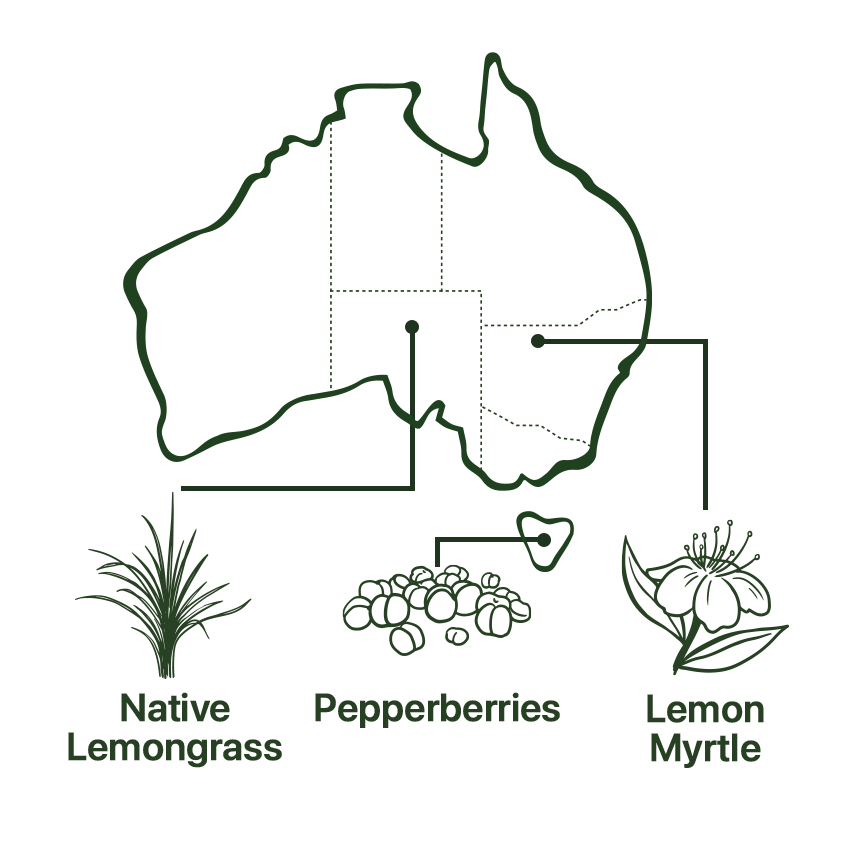 Map of Inflammation Tea Native Australian Ingredients