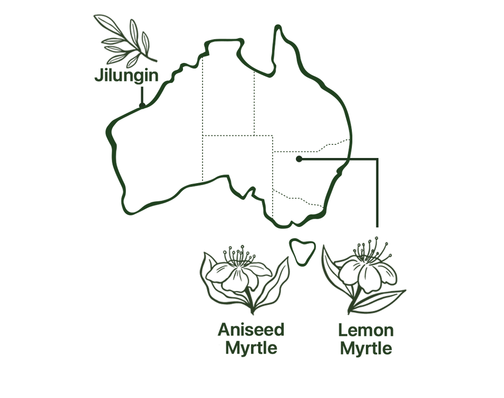 Map of Clarity Tea Native Australian Ingredients