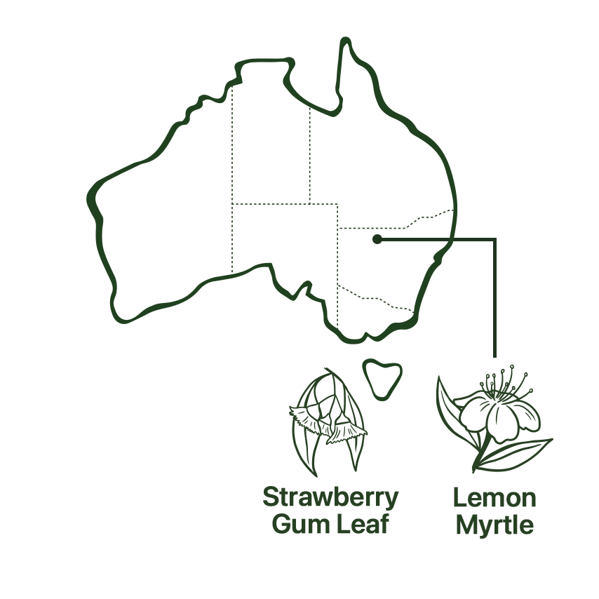 Map of Cleanse Tea Native Australian Ingredients