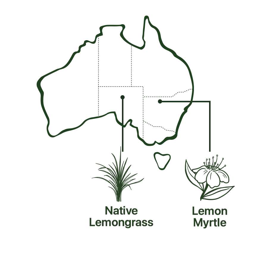 Map of Relief Tea Native Australian Ingredients