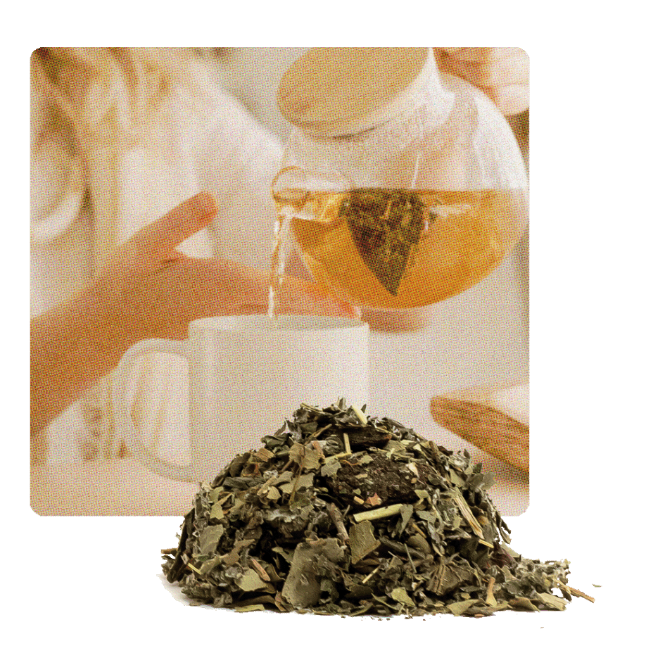 Womens Balance Loose Leaf Tea & Lady Sipping