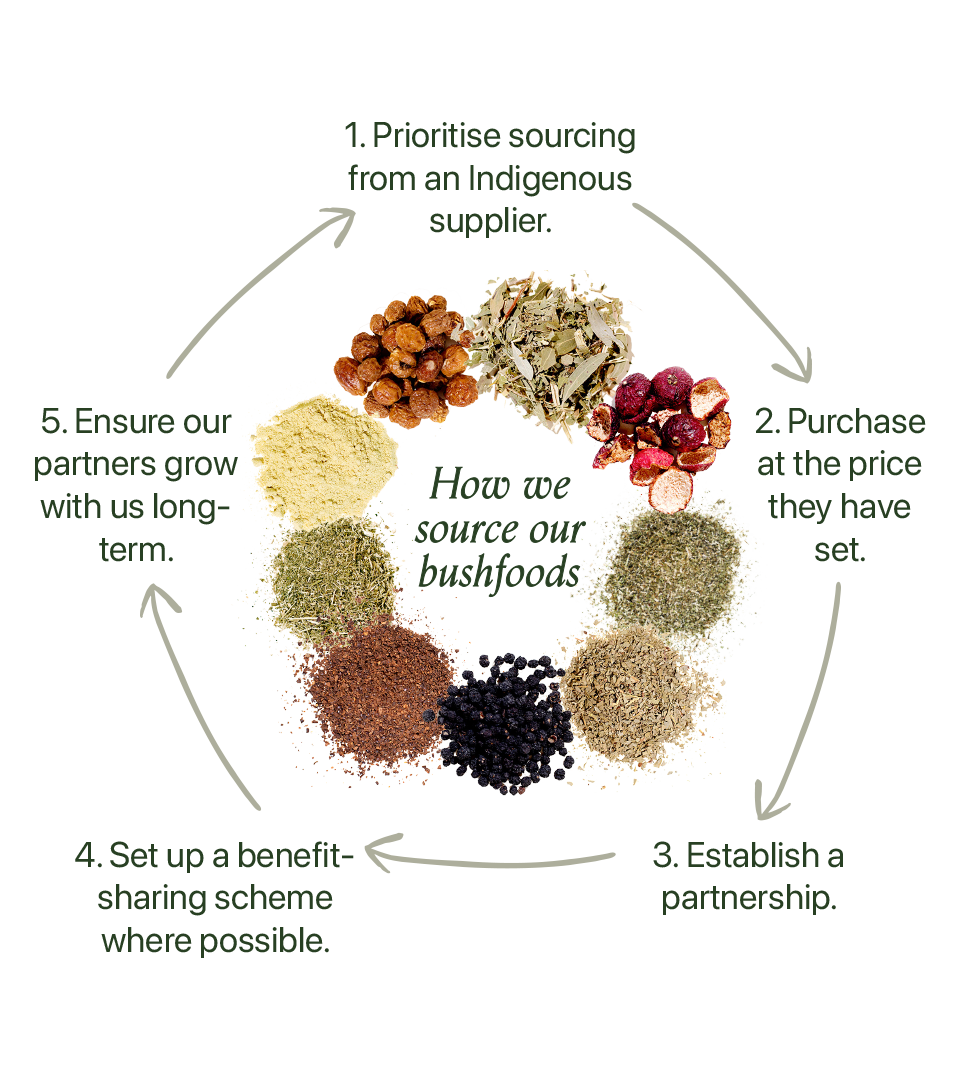 pp_s3_image_1_960x1080-1666878471435.png - Roogenic